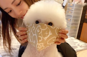 はなまさ先生、あきたいぬのマスクしてみました

なかなか旅行に行けないけど、いつかあきたいぬのいるお宿に泊まってみたい今日このごろ。

@akitainu_ka...