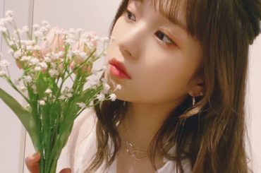 ✲*ﾟ﻿
﻿
 @kumai_yurina さんの﻿
Instagramを拝見して知ったのですが…﻿
﻿
今日はかすみ草の日。♡﻿
﻿
いまはお花の中で、1番好...