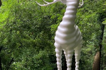 _﻿
﻿
﻿
﻿
#明治神宮﻿
#神宮の杜芸術祝祭 
#創建100周年 
#meijijingu...