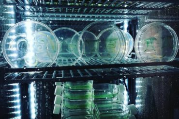 ヒストポリス ー絶滅と再生ー
.
.
.
#ヒストポリス絶滅と再生 #絶滅と再生 #gyre #tokyo #japan #omotesando #exhi...