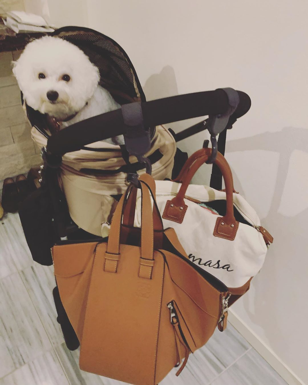 関根りさ エアバギー にフックつけて カバン下げて 大量の荷物を持ち運ぶわたし 四捨五入して母 百均のフックのありがたさが熱い日差しの中のオアシスのように染み込む Moe Zine