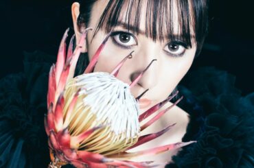 New Single 「I will...」﻿
初回生産限定盤　Photobookより﻿
﻿
﻿
﻿

﻿
﻿
﻿
-...-...-...-... -...-...