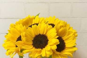 ‪‪︎‬
元気をくれる素敵なお花
#お花のある暮らし #向日葵...