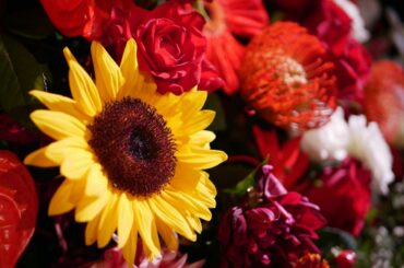 8月﻿
﻿
﻿
今年の夏は特殊な夏でしたね﻿
﻿
例年通りたくさん遊べた、お仕事したってわけじゃないんですけどその中でも楽しみ方を見つけれたかな﻿
﻿
自分と向...