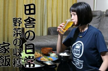 野菜の収穫をしました。 家庭菜園：野菜料理：ルーティン