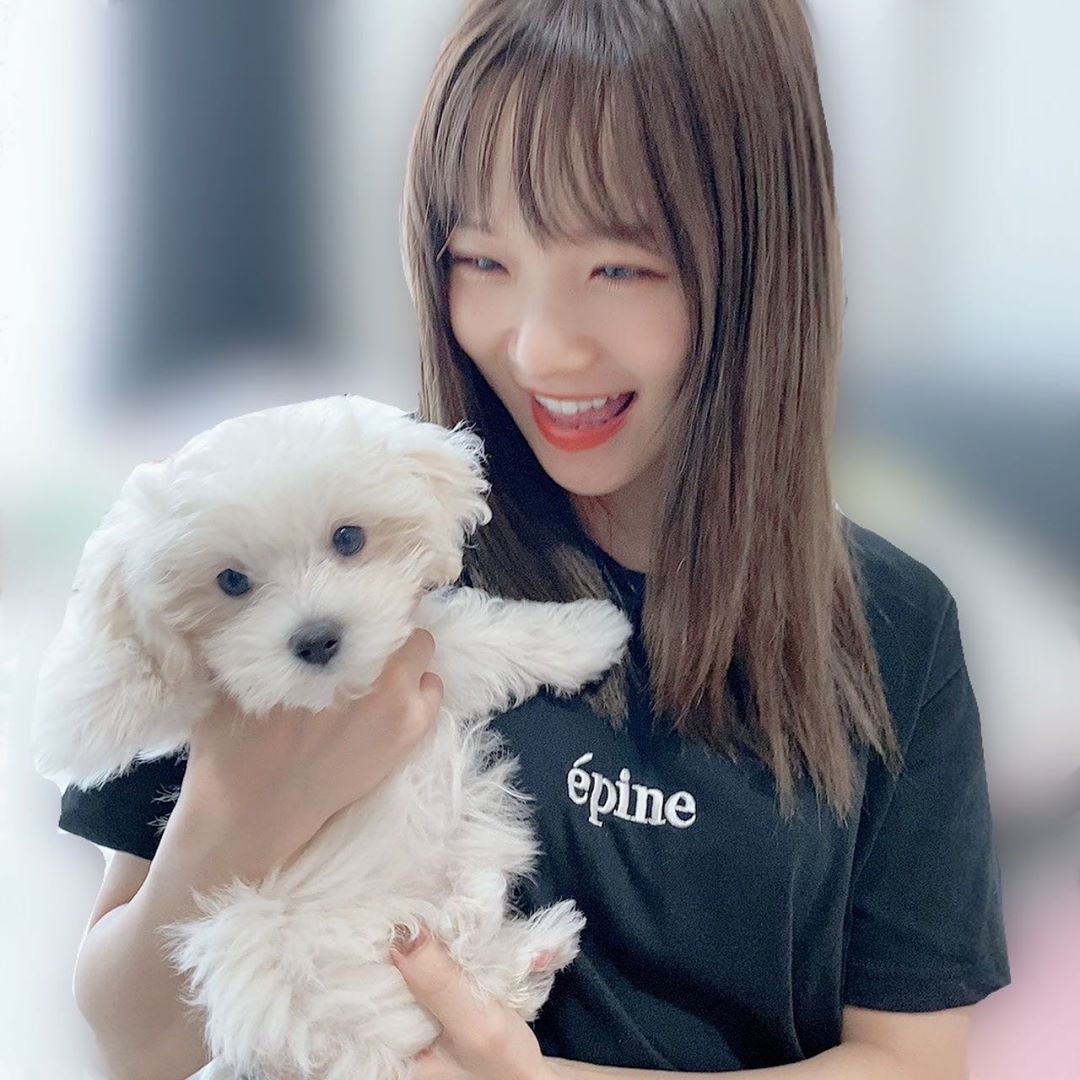 稲場愛香 野中とうふちゃん Miki Nonaka Official かわいすぎて 終始デレデレでした 人懐っこくてアイド Moe Zine 稲場愛香 野中とうふちゃん Miki Nonaka Official かわいすぎて 終始デレデレでした 人懐っこくてアイド Moe Zine