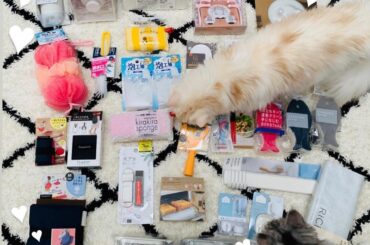 .
主婦みたいな投稿になりました"✧笑
エコバックとか
キッチン用品･掃除グッズ
大量ゲット
これで掃除するの楽しみっ。
.
シンバもジャックも興味しんしん
*...