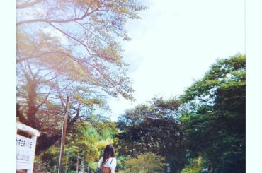 チェキ風﻿
﻿
﻿
﻿
最近チェキ風にハマってるんです﻿
チェキ持ってるからいつか誰か撮ろ﻿
この日は天気良かった！！！﻿
9月23日に編集した﻿
﻿
#小湊鉄...