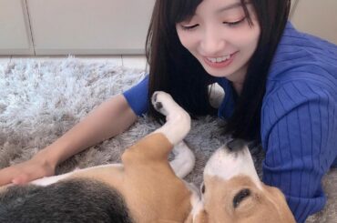 #おうち生写真 のオフショット
.
.
#AKB48 #生写真 #おうち時間 #愛犬 #ビーグル #beagle #オグリ #...