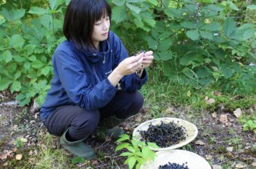 ㅤㅤㅤㅤㅤㅤㅤㅤㅤㅤㅤㅤㅤ
秋を感じさせてくれる食材「胡桃」と「山葡萄」でジャムを作りました
ㅤㅤㅤㅤㅤㅤㅤㅤㅤㅤㅤㅤㅤ
本日17時にYouTubeへ投稿致しま...