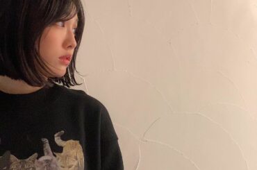 *
#猫好きあるある 
ねこちゃんの柄物集めがち...
洋服にハンカチに雑貨にトートバッグ......