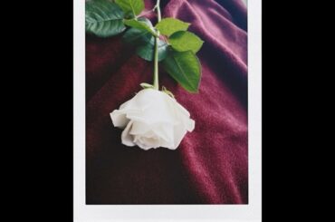 .

毎日寒い日が続きますが
如何お過ごしでしょうか?

10月にしてはかなり冷え込む..
暖かい身なりでお出かけ下さい...