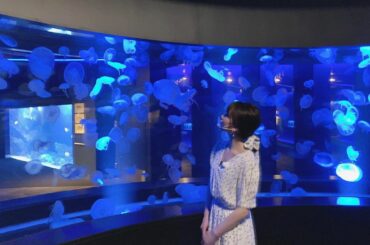 クラゲワンダー

#京都水族館 #kyoto...