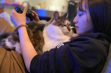 .

大人達のゲーム大会
デトロイト ビカムヒューマン

写真は山田に群がる
ねっこさまです...