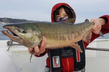 ㅤㅤㅤㅤㅤㅤㅤㅤㅤㅤㅤㅤㅤ
秋の味覚を求めてサケ(秋味)釣りに行ってきました
ㅤㅤㅤㅤㅤㅤㅤㅤㅤㅤㅤㅤㅤ
釣れた鮭は船のメンバーで分け私は雌を2匹持ち帰りました...