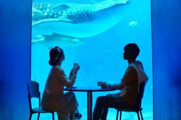 .
お誕生日という事で、マイラブさんと沖縄へgotoしてきました
お仕事以外で行けたのは初めて！

ほぼ全日雨という
まさかの展開でしたが...(泣
ずっと行っ...