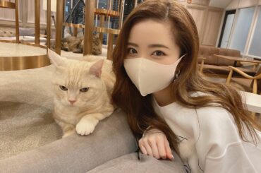 猫カフェ モカラウンジ渋谷公園通り店に﻿
行ってきました︎﻿
﻿
もうすぐハロウィンだから、﻿
猫ちゃんたちもちゃんと仮装してたよ﻿
﻿
お店の雰囲気もよく、﻿...