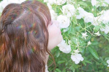 ホワイトローズ♡
.
.

#roses#rose#roses #flowerstagram #flowers#whiteroses#ホワイト #ローズガーデン...