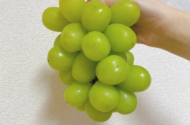 シャインマスカットの時期がもう終わってしまった。。。
フルーツ大好きなので、秋最高です
#シャインマスカット...