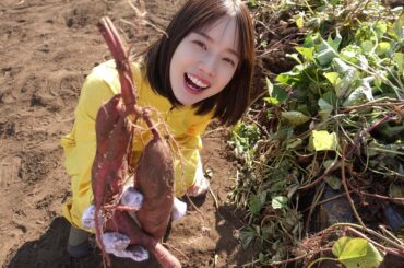 先日、﻿
お願い!ランキングの弘中美活部という企画で﻿
芋掘りに行ってきました﻿
後輩の林美桜と頑張ってきました﻿
﻿
とてもいいお天気の中で﻿
小学校ぶり？に...