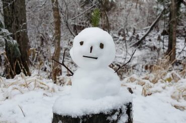 ㅤㅤㅤㅤㅤㅤㅤㅤㅤㅤㅤㅤㅤ
初雪
ㅤㅤㅤㅤㅤㅤㅤㅤㅤㅤㅤㅤㅤ
今季、第一号の雪蔵くんです
素手だったのでちゃちゃっと作りましたが、なかなか可愛くできました
ㅤㅤ...