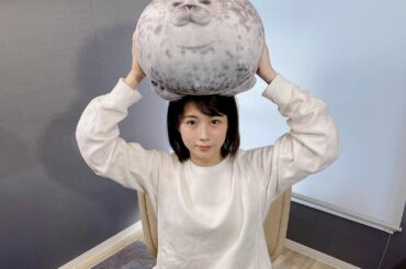 *
アザラシのユキちゃん

#海遊館#アザラシ#ユキちゃん#クッション#おまんじゅう#Jチャン#オシオシ...