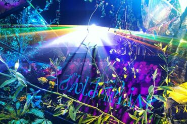 .
秋葉原からタイムマシンで不時着。
みんな、気がついたかな〜
.
.
.
オンラインライブのアーカイブ配信中です〜
.

.
.
.
#japan #...