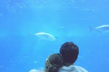 今日って、いい夫婦の日なんだって✧

#美ら海 #okinawa #couple #沖縄 #沖縄旅行 #沖縄観光 #美ら海水族館 #水族館 #水族館デート ...