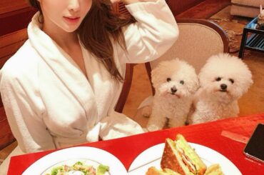 Yesterday's us
We took room service because of pups.
They are sitting and waitin...