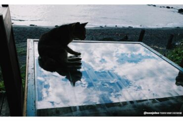 #涙流るるまま
スタジオに住み着いたネコちゃんもいました...