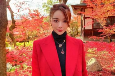 Last autumn leaves at Kyoto
It was super spectacular including the fallen leaves...