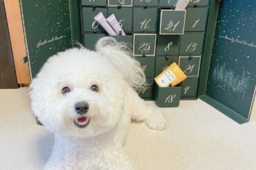 今年5つ目のアドベントカレンダーがHarrods
今年で3回目の購入ですがお値段以上でしたね

今年も残すアドベントカレンダーが少なくなってきたのでお楽しみに
...