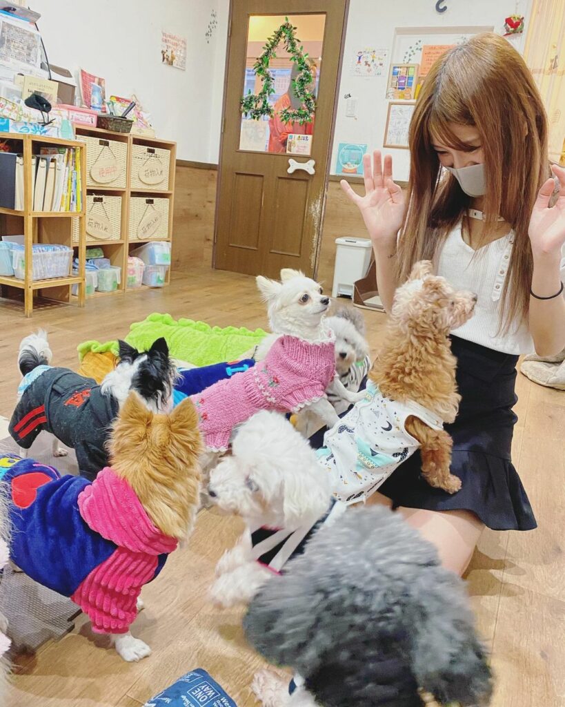 保護犬カフェ堺店 Moe Zine 保護犬カフェ堺店 Moe Zine