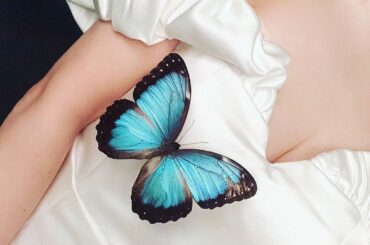 .
.
.
#butterfly # #bluemorpho #weddingdress #photoshoot #photography #fashion ...