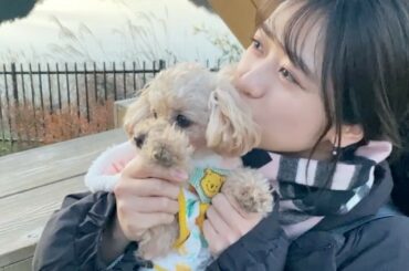 彼女と彼女のわんちゃんとデートするクリスマスイヴはいかがですか？︎...