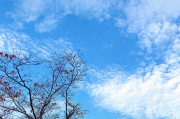 2020年ももう終わりますね﻿
﻿
﻿
﻿
今年はいろんなことあったけど結局なんだかんだ楽しかったな﻿
﻿
新しいことに挑戦する楽しみを知った1年でした﻿
﻿
...