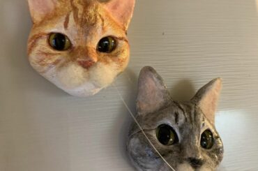 @tanomake で作っていただいたねこひげさしのメルちゃんジュリちゃんver.

母が見てみてーと指差してきたので見てみたら
ジュリの髭が刺さってました笑
...