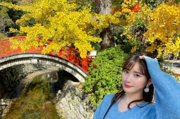 
11月に行った 下鴨神社﻿
﻿
さざれ石が 光放ってるみたいな ﻿
パワー感じる写真撮れた〜...