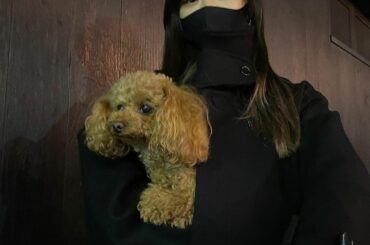 *
うちのわんこも連れてゆく

#ありす...