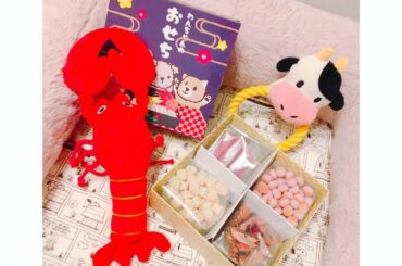 わんちゃんのおせち笑

#チワワのいる暮らし 
#わんことお正月
#いぬすたぐらむ 
#Chihuahua
# #...