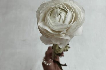 @enelsia_official 
今日は新作の撮影でした！

新作かわいいのでお楽しみに...︎...