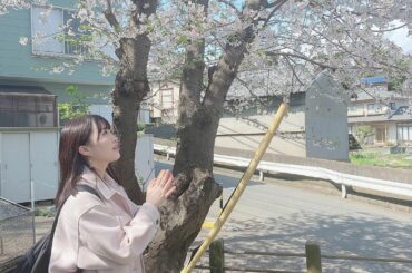 ・
・
・
早く旅行に行けるようになりますように …
・
・
#旅行 #桜...