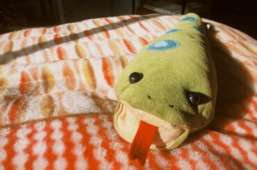 いよいよ本日！
「モコミ〜彼女ちょっとヘンだけど〜」第一話の放送です︎
テレビ朝日　23:00〜
ぜひご覧ください(｡・・｡)
#モコミ
#彼女ちょっとヘンだけ...