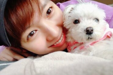 可愛い可愛いぽんぽこ♡
#マルチーズ#犬#dog...