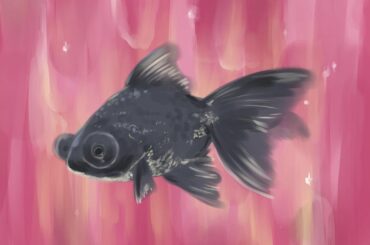 連載のために描いてた、いつぞやの黒出目金。

 #山本美月とアニメのはなし...