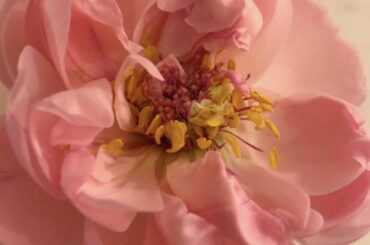 Sunday.....日曜日は特に意識して心と体にいいものをって曜日にしてます

今日はどんな日曜日でしたか？

最近の自分の中のテーマは　丁寧に生きる。　...