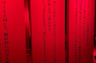 石岡瑛子 グラフィックデザインは
サバイブできるか

むくむくと元気が湧き出てくるような
心強い展示でした

まだまだやれることは沢山あるよねぇ...