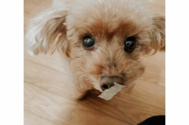 今回は大物釣ってきましたねぇ〜
#えいじ...