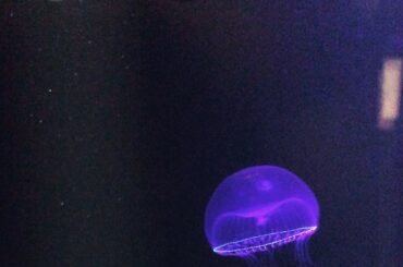 先日、﻿
映画「宇宙でいちばんあかるい屋根」の﻿
Blu-ray&DVDが発売されました！﻿
﻿
ありがとうを沢山贈りたくなる作品、﻿
誰かにとって心温まる存在...