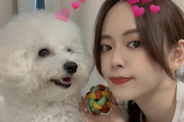 2月11日は、はなまさ3歳の誕生日です

今年も健康で楽しい毎日が送れますように

Snowに猫フィルターあるのに犬なかったので猫のやつで撮った笑

お誕生日ケ...
